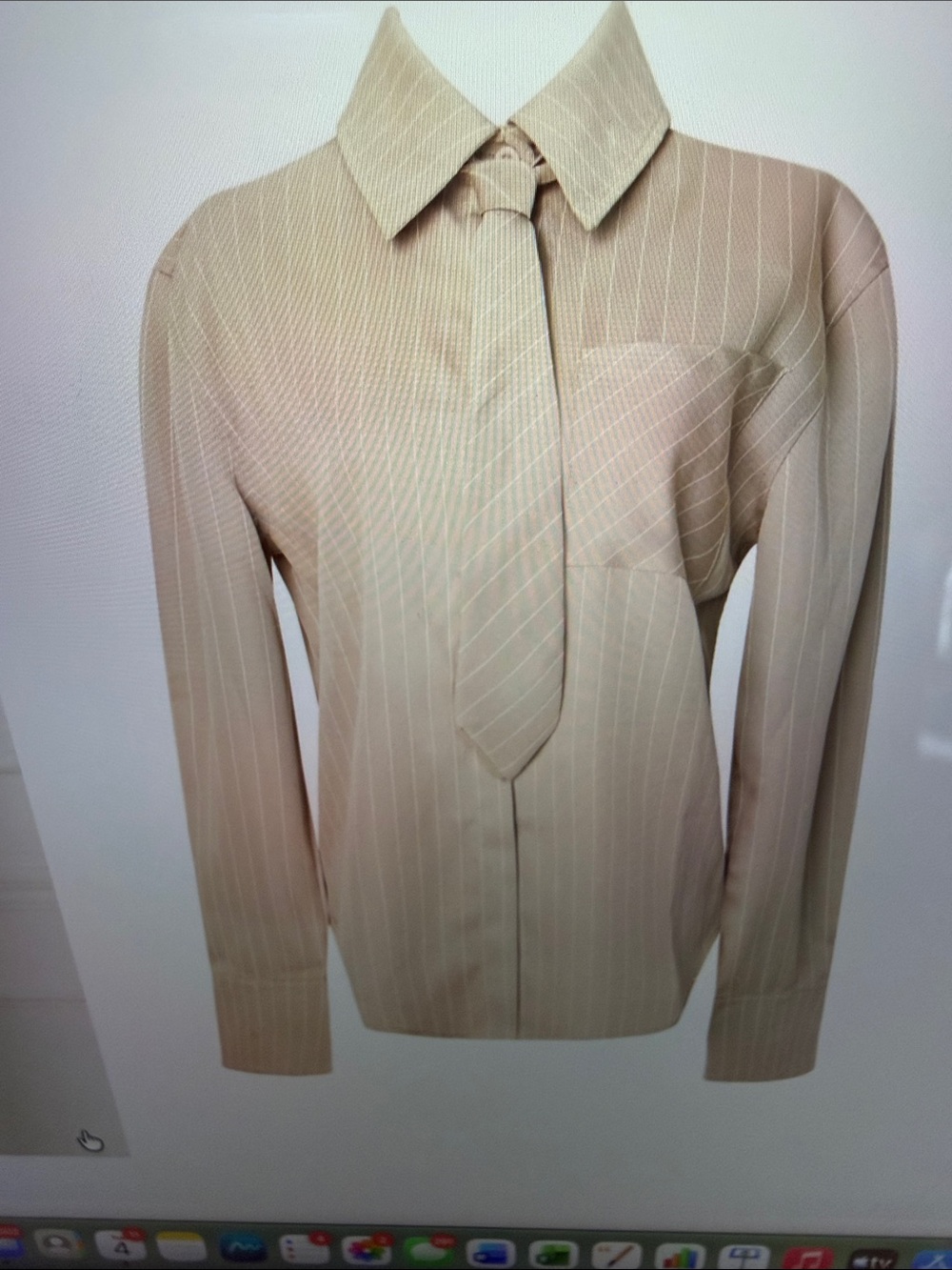 Beige Pinstripe Button-Up Shirt - Women's Classic Top